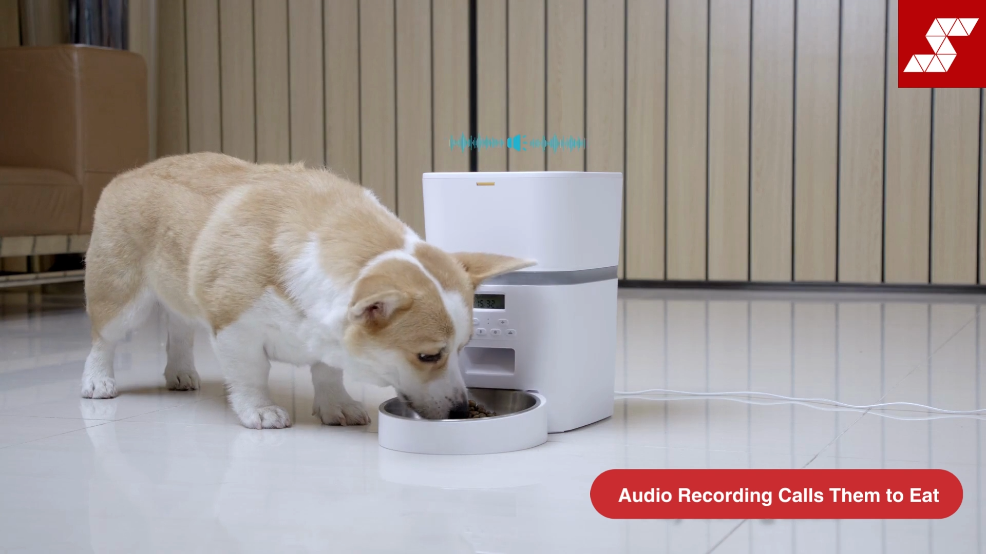 SMARTPAWBurpurr Basic Pet Feeder Gen 2 | Automatic Cat Feeder | Automatic Dog Feeder